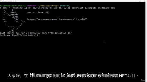 Docker容器化实战：DevOps环境下的镜像构建与AWS
