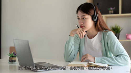 IGCSE商务研究完整课程(第1-6章) (中文字幕英文视