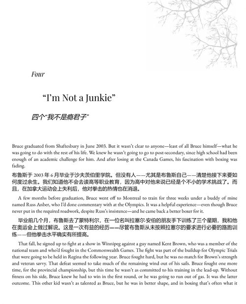 为了儿子的爱：成瘾、离别与希望的回忆录 (中英双语电子书）