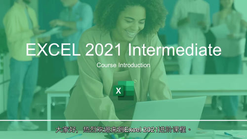 [中字] Excel 交互式仪表盘实战进阶课（中文字幕英文视