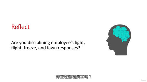 创伤知情领导力大师课 (中文字幕英文视频教程)