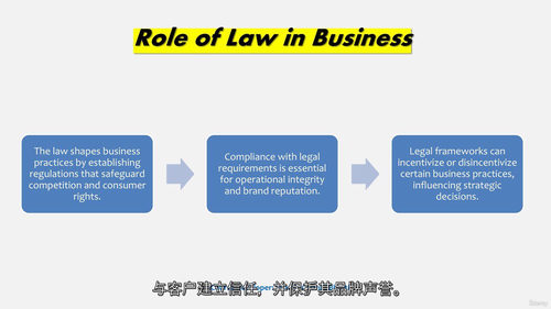 创业者法律必修课——构建稳健企业的法律指南 (中文字幕英文