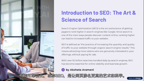SEO实战精通：引爆网站流量攻略  (中文字幕英文视频教程)