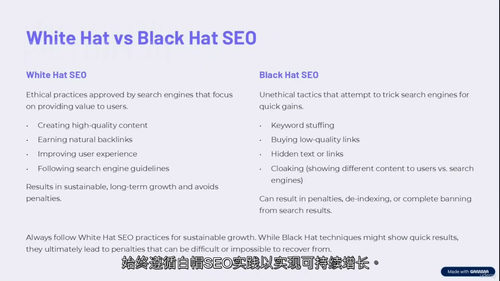 SEO实战精通：引爆网站流量攻略  (中文字幕英文视频教程)