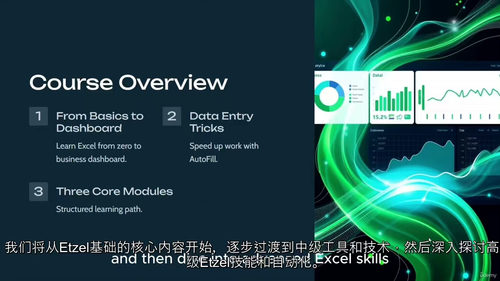 [中字] Excel 从入门到精通：实战项目全攻略（中文字幕