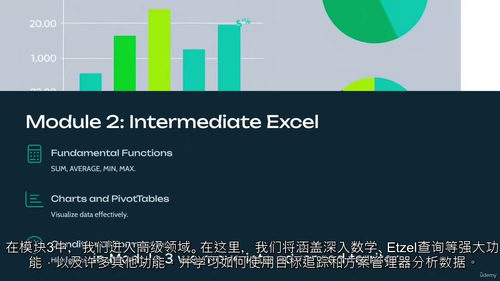 [中字] Excel 从入门到精通：实战项目全攻略（中文字幕
