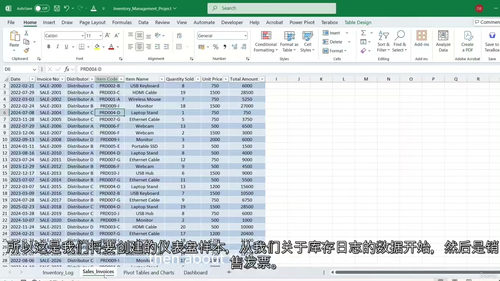 [中字] Excel 从入门到精通：实战项目全攻略（中文字幕