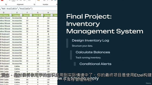 [中字] Excel 从入门到精通：实战项目全攻略（中文字幕