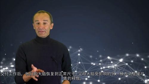 家长神经科学指南:养育优秀孩子的实用课程 (中文字幕英文视