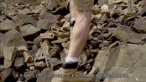 领导力实战课程（中英双语）