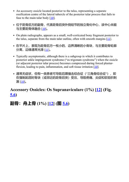 影像解剖变异:临床实践中的应用 (中英对照电子书)