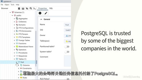 PostgreSQL 2025核心实战教程（中文字幕英文视频