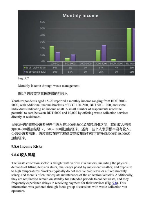 发展中国家废物管理案例研究:可持续实践与价值创造 穆罕默德·