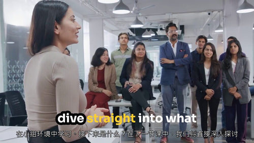 组织设计精通实战课(中文字幕英文视频教程)