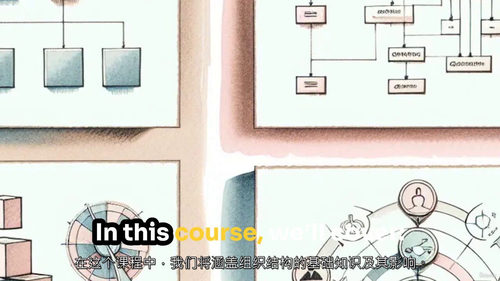 组织设计精通实战课(中文字幕英文视频教程)