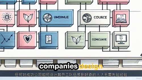 组织设计精通实战课(中文字幕英文视频教程)