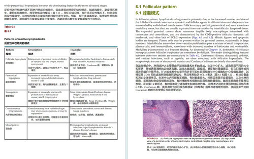 奈姆血液病理学图谱:形态学、免疫表型、细胞遗传学及分子生物学