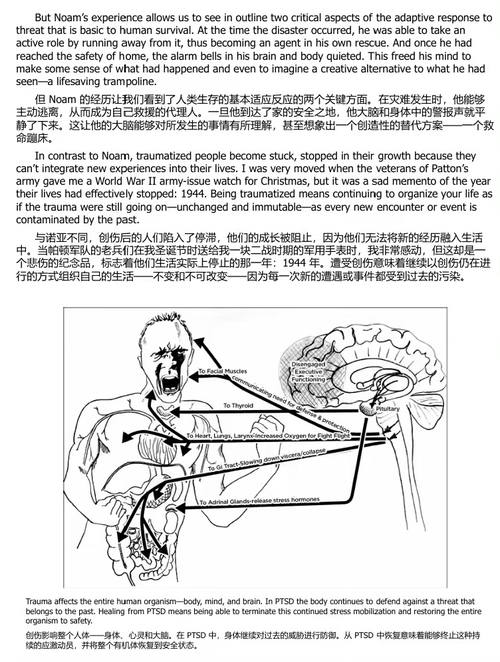身体从未忘记:创伤疗愈中的大脑、心智与身体 (中英双语电子书