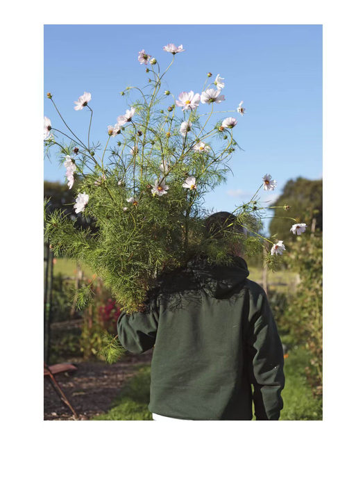 花繁叶茂 格雷姆·科比特 (中英对照电子书)