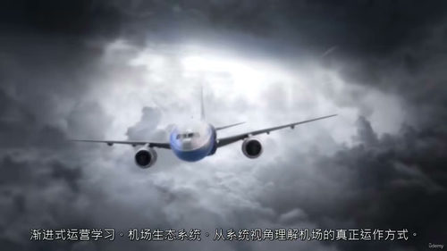 机场运营与地勤代理专项培训教程（英文视频中文外挂字幕教程）