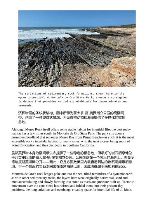 加州潮汐之间：探索海滩与潮池 瑞安·P.凯利 特里·克林格