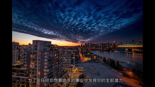 L2成功大师：迈向卓越的进阶之道  (中文字幕英文视频教程)