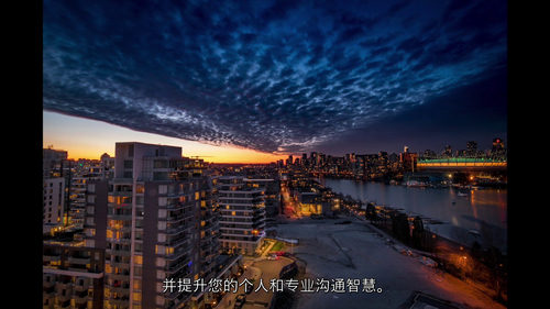 L2成功大师：迈向卓越的进阶之道  (中文字幕英文视频教程)