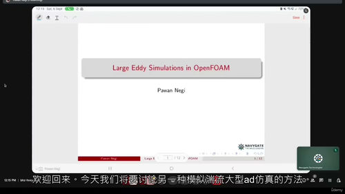 OpenFOAM实用大涡模拟（LES）教程