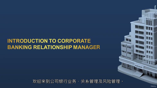 企业银行与客户经理实务全指南（英文视频中文外挂字幕教程）