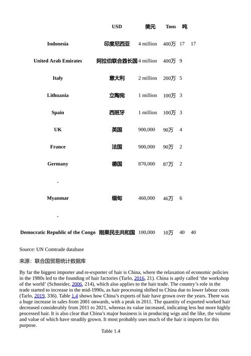 全球头发、不平等与女性价值 丽塔·霍格巴卡 （中英对照电子书