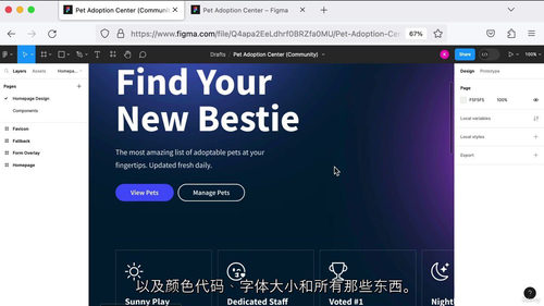 2024 网页开发实战特训营 (中文字幕英文视频教程)