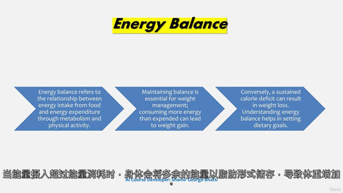 精通营养科学:从基础到未来趋势(中文字幕英文视频教程)