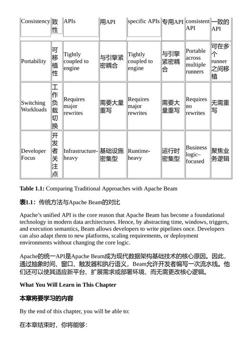 用Apache Beam构建数据管道 努日·梅恩 (中英对照
