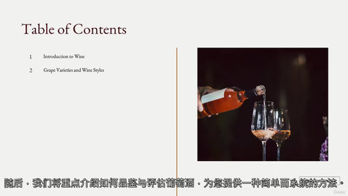 葡萄酒基础入门:品鉴技巧、餐酒搭配与产区知识 (英文视频课程