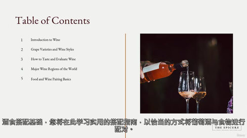 葡萄酒基础入门:品鉴技巧、餐酒搭配与产区知识 (英文视频课程