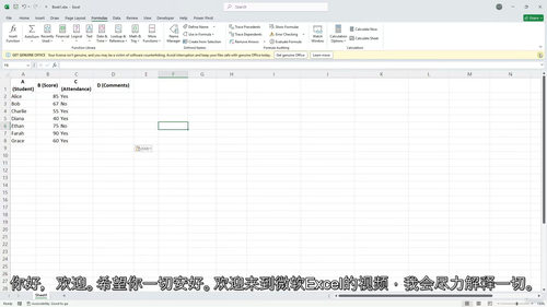 Excel函数与公式全能实战精通教程（英文视频中文外挂字幕教