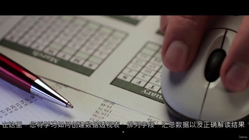 Microsoft Excel数据透视表与数据透视图教程