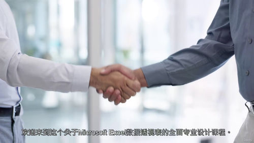 Microsoft Excel数据透视表与数据透视图教程