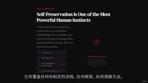 别再追问为什么:高效学习型组织