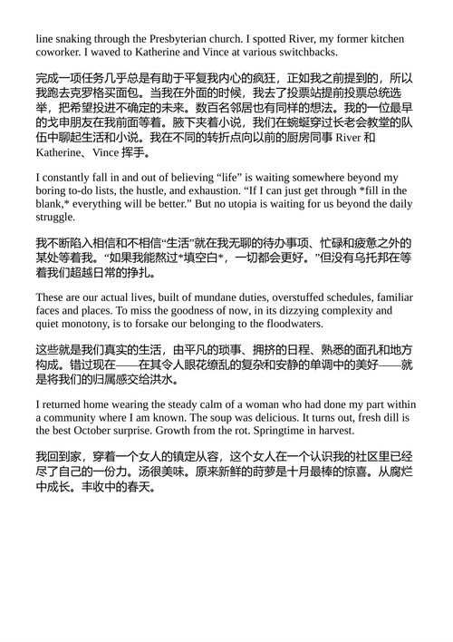 配重 沙南·马丁 (中英对照电子书)