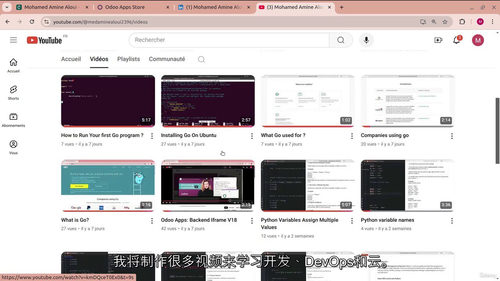 Python 中级进阶与 PCAP 认证通关教程(中文字幕英