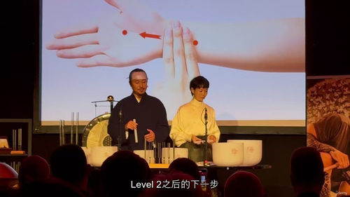 TTI一级认证 - 中医声疗声波针灸课程 (英文视频课程中文