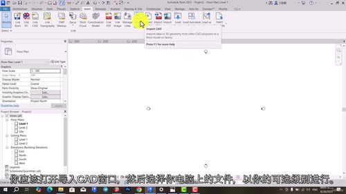 Revit 别墅建模实战教程:从零基础到 Enscape 惊艳渲染
