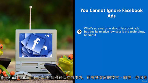 Facebook 广告实战秘籍(全 7 套进阶课程) (中