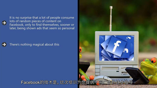 Facebook 广告实战秘籍(全 7 套进阶课程) (中