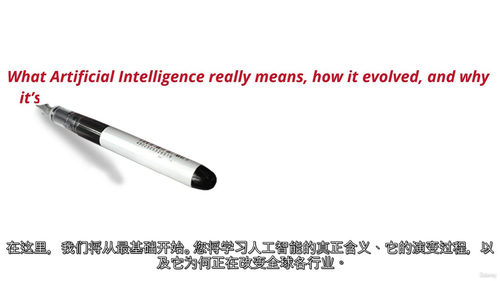 人工智能专业入门实战指南 (中文字幕英文视频教程)
