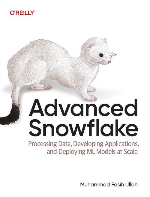 进阶 Snowflake：数据处理、应用开发与大规模机器学习