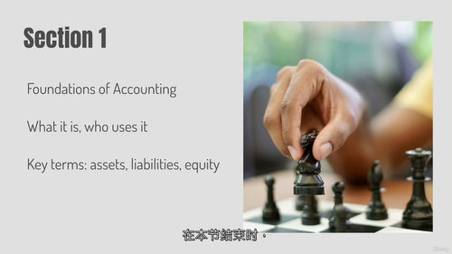 会计入门 101:簿记与财务基础指南 (中文字幕英文视频教