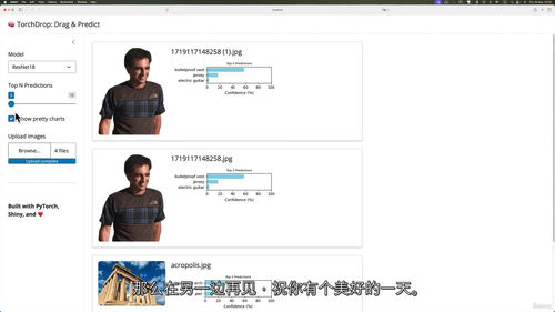 Python交互式数据科学:基于Shiny与PyTorch实