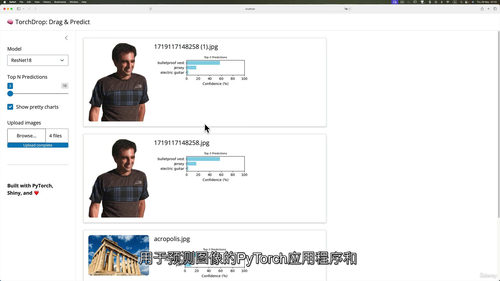 Python交互式数据科学:基于Shiny与PyTorch实